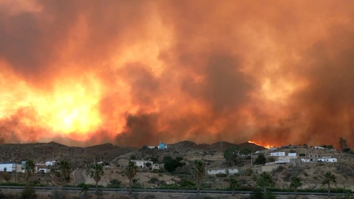 Spain Wildfire Alert: स्पेन के जंगलों में भीषण आग, 11 लोगों की मौत; 19 अब भी लापता