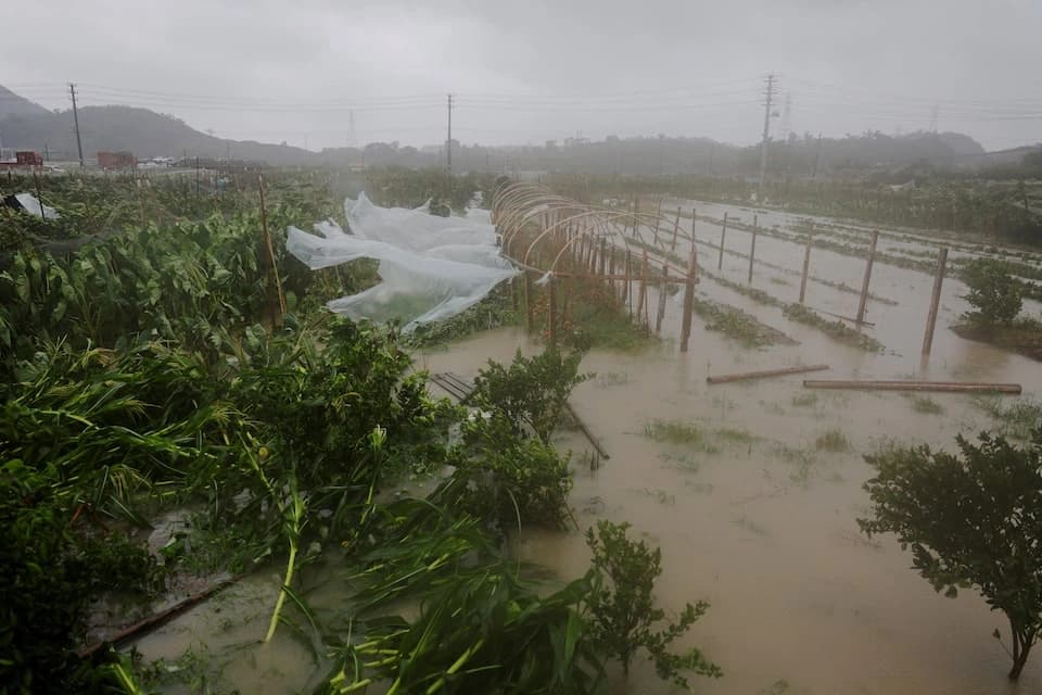 Typhoon Bavi Impact: चीन-ताइवान में 'बावी' तूफान का कहर, 20 लाख लोग सुरक्षित; 134 घायल