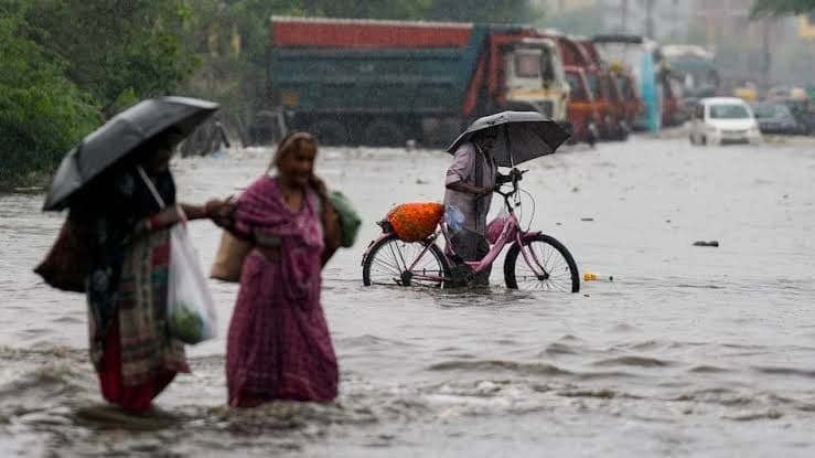 ओडिशा में भारी बारिश के बीच धंसा NH-53 का बड़ा हिस्सा, खाई में गिरे 3 ट्रक; सड़क निर्माण की गुणवत्ता पर उठे गंभीर सवाल